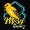 26_cenary