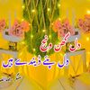 qaisar.abbas3079
