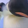 lm00l1lv.2