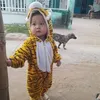 nguyn.vn.gip5063