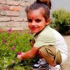 ayushyadav6508