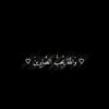 alaa.rabeh