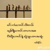 naing.lay1380