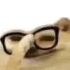 4grrry7