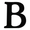 bilaloop1