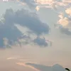 nm.mi.vui.v58