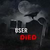 loser_484