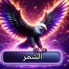 user747804955