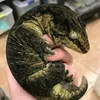 o.baryonyx