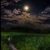 moonalbadar4