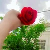 user63655740076901