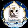 shafafadilah21