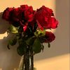 userr_8377