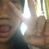 _havldz