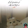 malikawanzidii