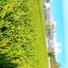zyad_o9