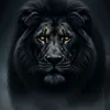 خواطر GMT