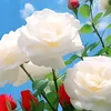 user3981219517391