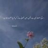 waqas.dogar9872