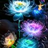 wallpaper.082
