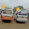 shafayjan0