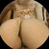 user6347141626757