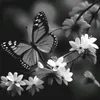 اطياف