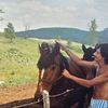 daniel.gagnon37