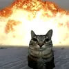 ppapiip
