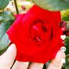 user6219747481695