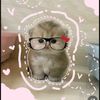 3_helen_12