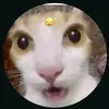 gatito917319812719