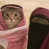 hmn_meriem