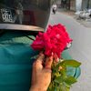 snnoyonchowdhury8
