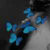 ana.dafne.kimberl