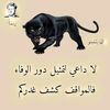 user5929578758608