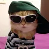 totoy_aj