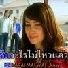 dmdgmm43