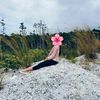 adz_aul