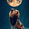 along__king457