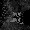 greidys772