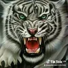 user88106572767558