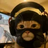 liimmz3