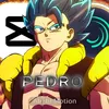 pedroinacio98