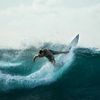 mauisurfing6