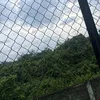 不顾一切，向前冲