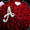 user66315126828298