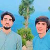 shayan...gull...804