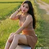 tn70cho