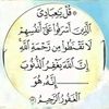 nahedabolela980